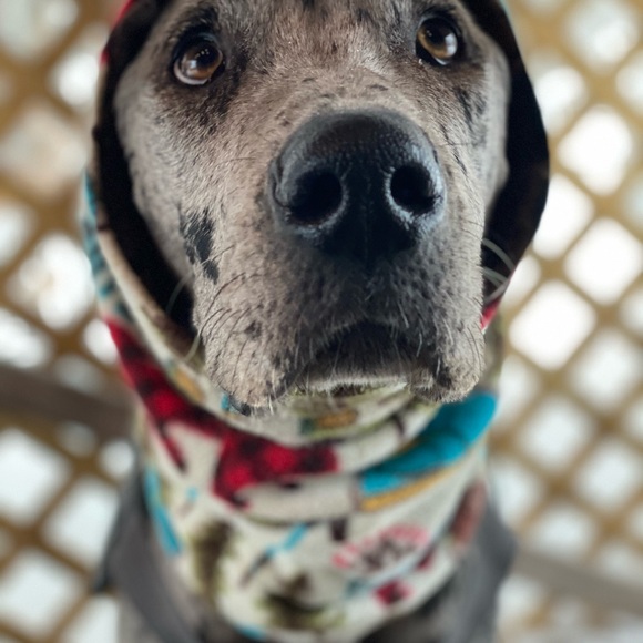 Hello! If you are here, thank you for checking out my page. I appreciate you! 🧡 - Picture 15 of 16